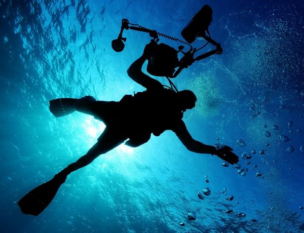 Diving Guide For Beginners