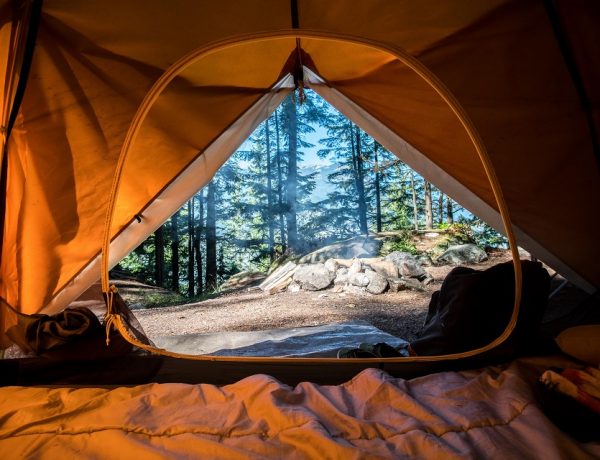 Must-Have Things During Your Camping Trip