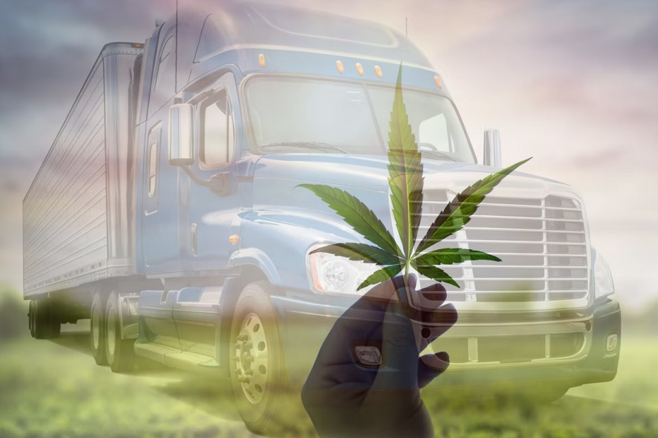 Commercial Marijuana Transportation