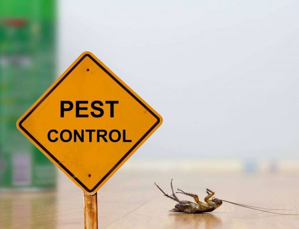 Local Pest Control Company