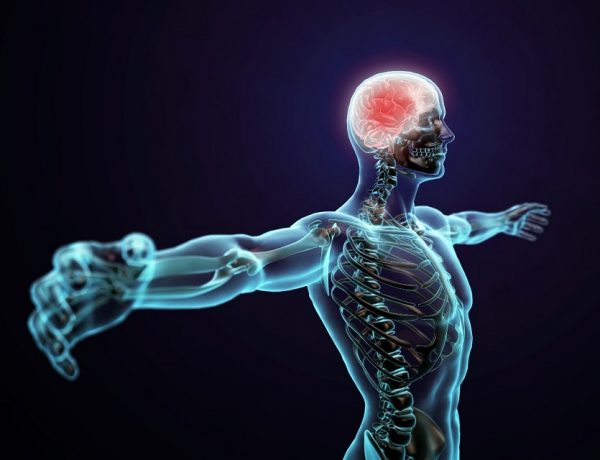 Can You Control Your Nervous System Health