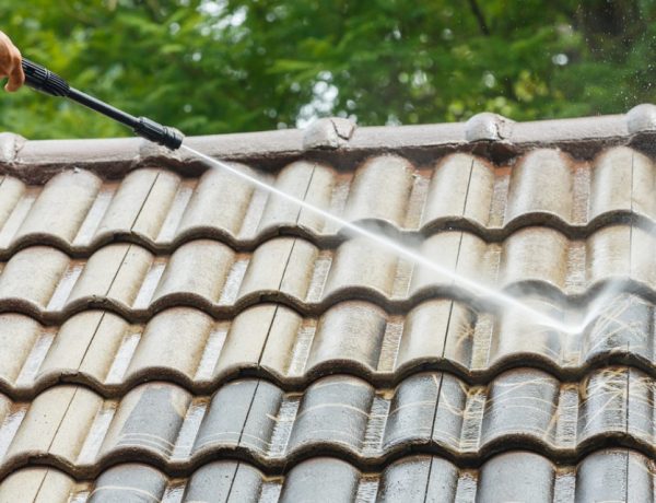 Benefits Of Professional Roof Cleaning