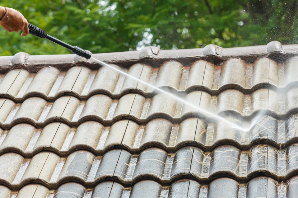 Benefits Of Professional Roof Cleaning