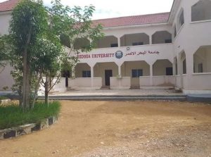 Red Sea University (RSU)