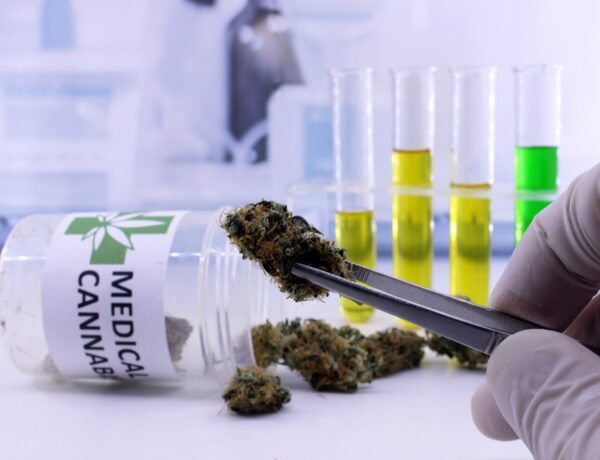 Differences Between Medical And Recreational Dispensaries