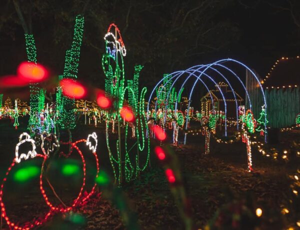 Light Attractions That Will Brighten Your Night