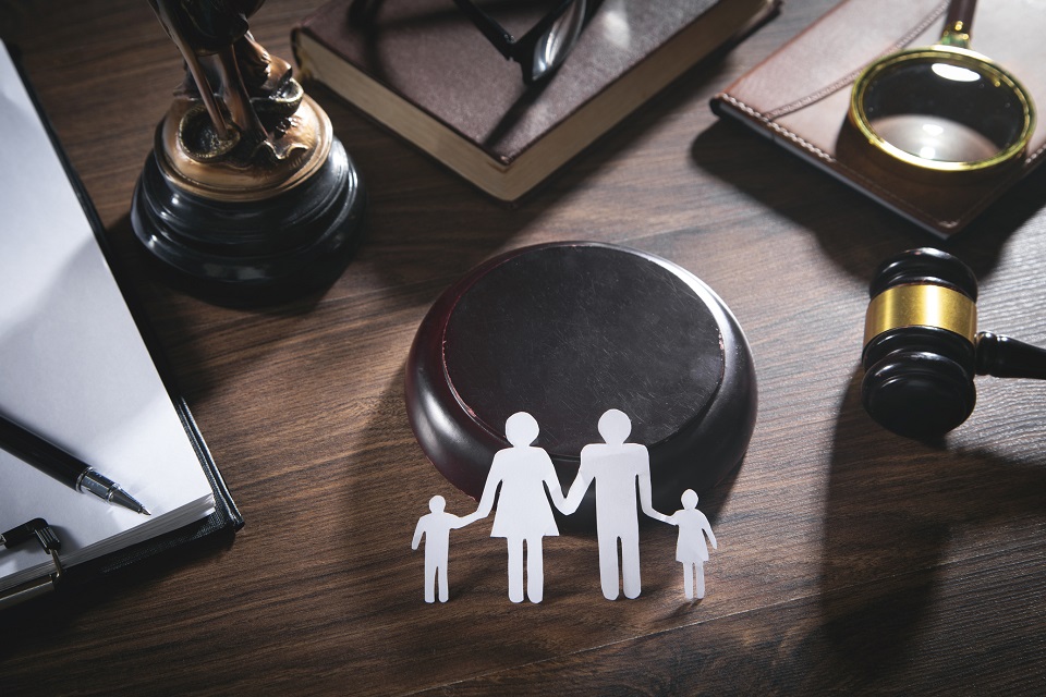 Hiring A Family Law Specialist