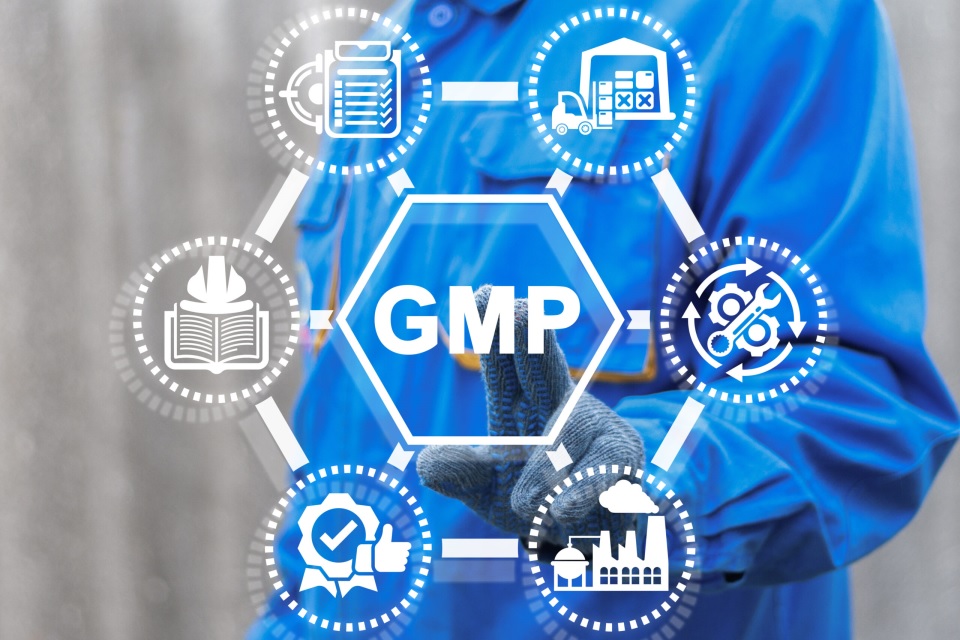 Successful GMP Manufacturing Projects