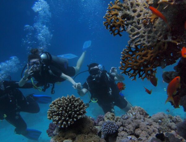 Getting Started In Scuba Diving