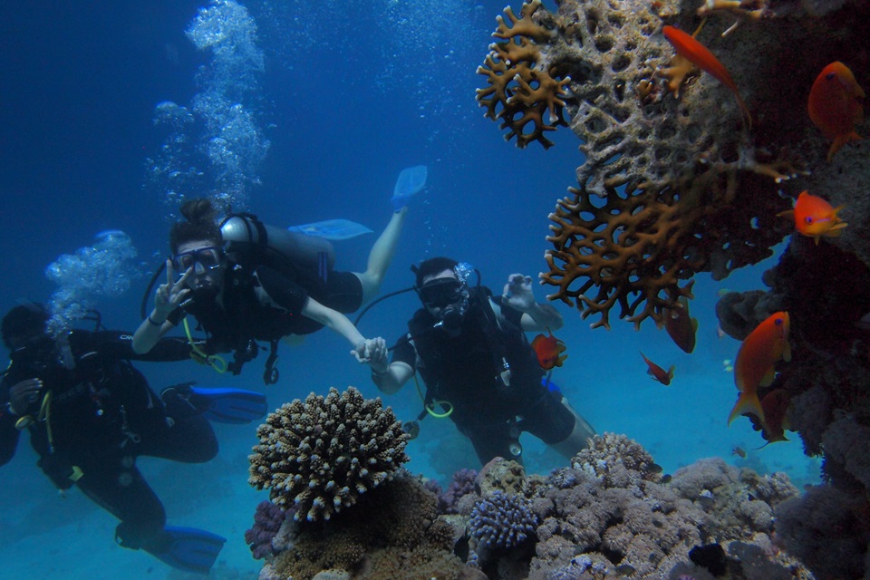 Getting Started In Scuba Diving