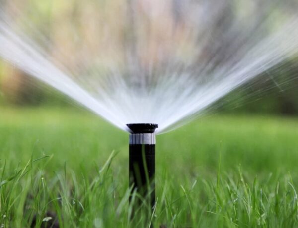 Signs Your Irrigation System Needs Attention