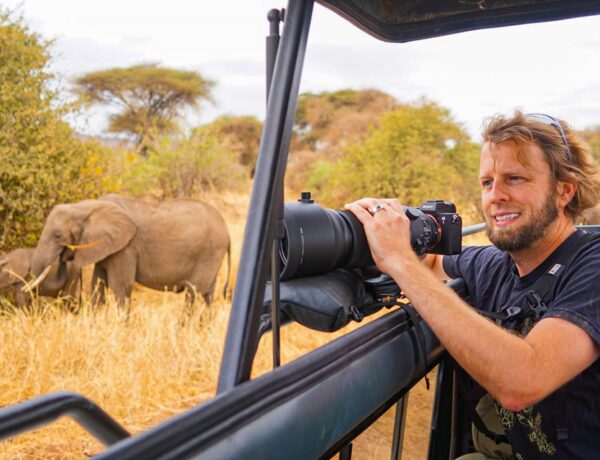Photography Tips for Your Safari Experience