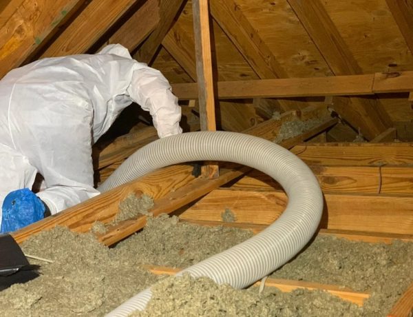 Strategies For Attic Clean-Up