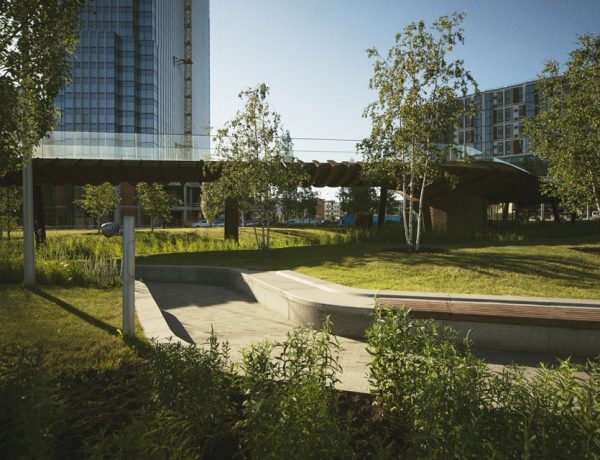 How Well-Maintained Landscaping Boosts Your Business Image