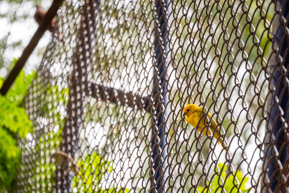Weather-Proof Chain Link Fences For Madison Homes