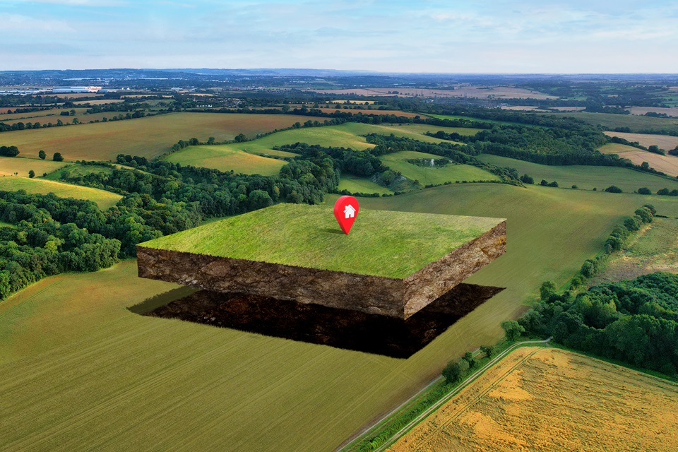 Vineyard Land Clearing