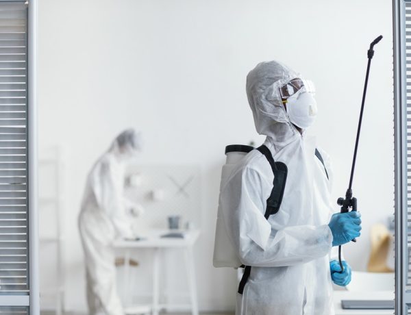 Effective Solutions For Common Household Pests