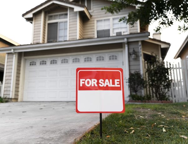 Guntersville Housing Market Trends