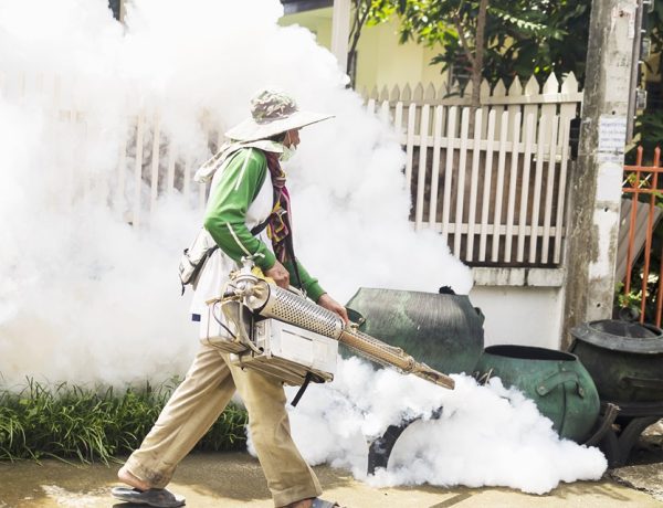 How Seasonal Changes Influence Pest Activity