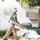 How Seasonal Changes Influence Pest Activity