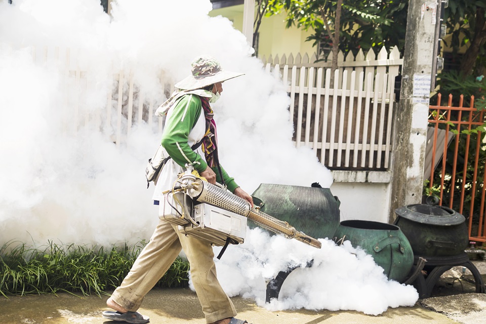 How Seasonal Changes Influence Pest Activity