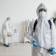 Guide To Seasonal Pest Prevention At Home