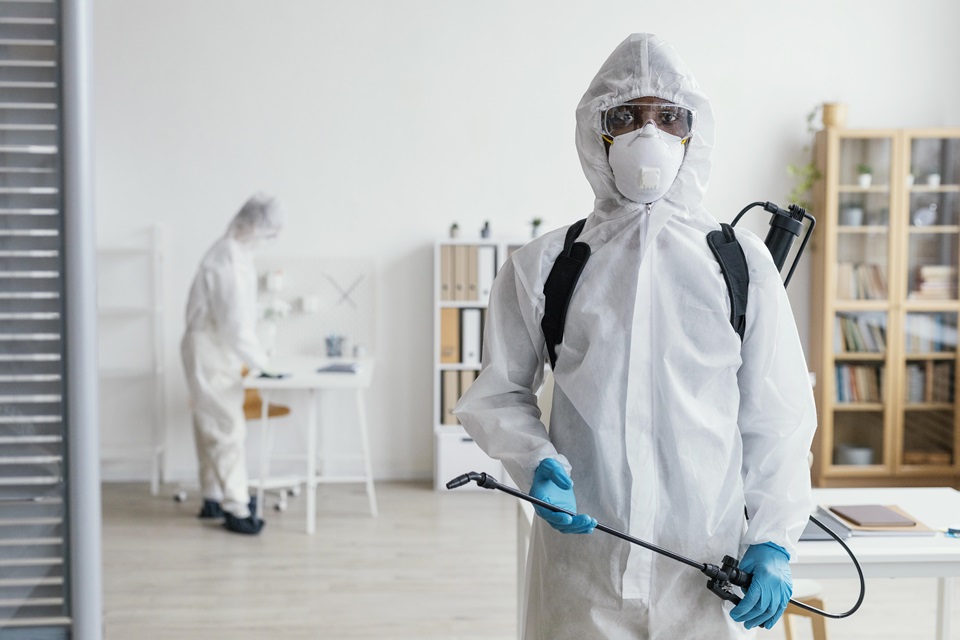 Guide To Seasonal Pest Prevention At Home