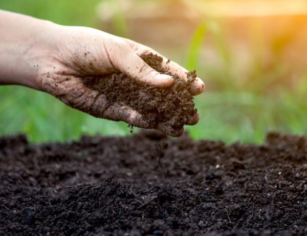 Soil Perc Tests Explained